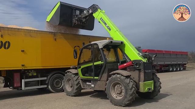 Телескопический погрузчик Zoomlion ZTH3507. Загрузка кукурузы. Дилер Агростратегия.