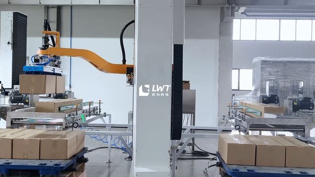 Двусторонний рабочий паллетайзер