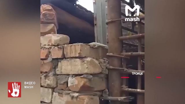 Медведя Степана из Троицка, оставшегося без хозяина, забрали в эко-парк «Зюраткуль»