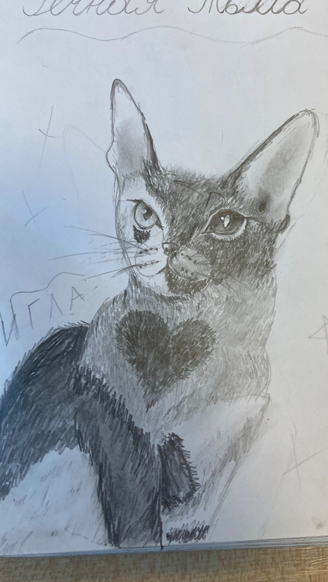 Арт на конкурс Речной Тьмы 🐾