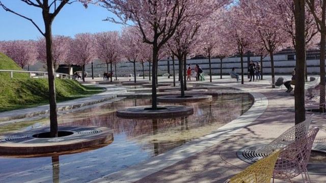 Пространство обновилось. (1).