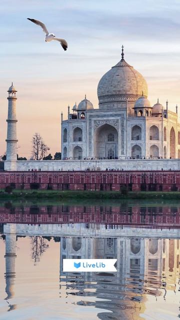 Продолжаем путешествовать по миру