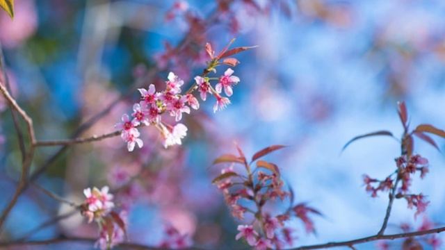 Весна пришла. (1)