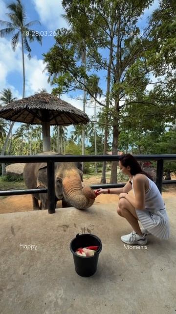 Тайланд. Путешествия, самолет