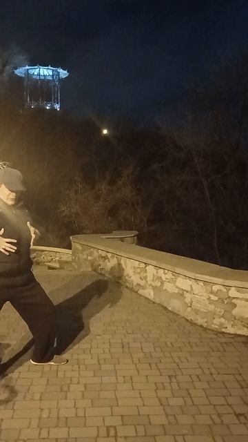 Форма тайцзицюань -Похлопвть лошадь пр холке.