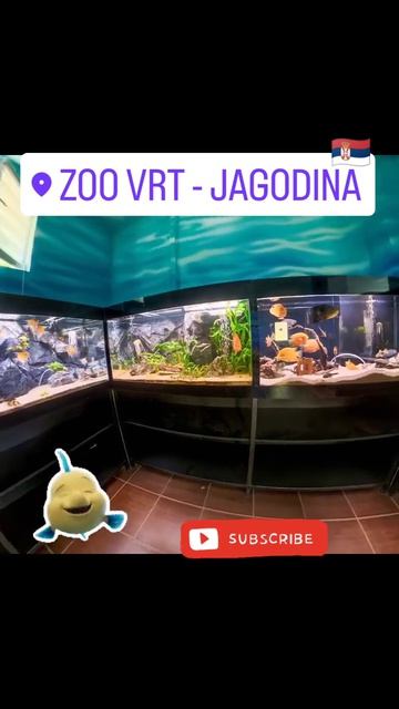 Jagodina Zoo - Zoo Garden Jagodina #touristattraction #travel #turizam #touristdestination  #duet
