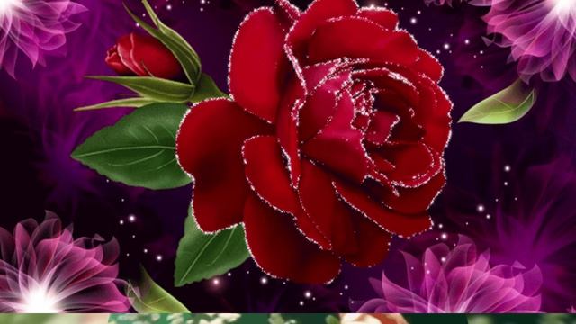 Виктория,будь счастлива