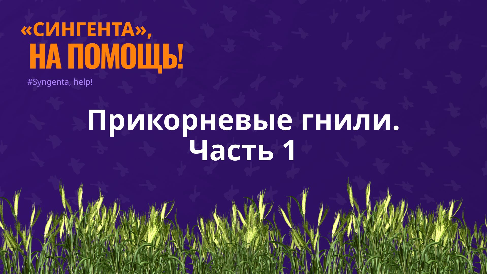 ПРИКОРНЕВЫЕ ГНИЛИ / Часть 1