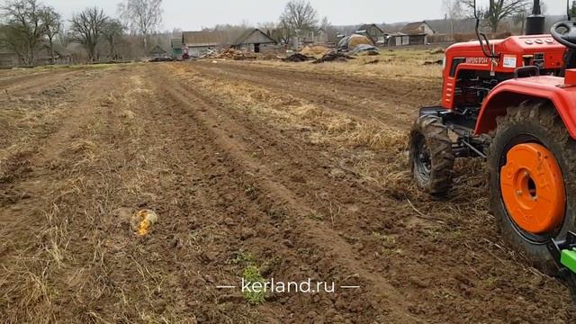 Культиватор KERLAND KT-210 в работе с минитрактором Shifeng SF-244