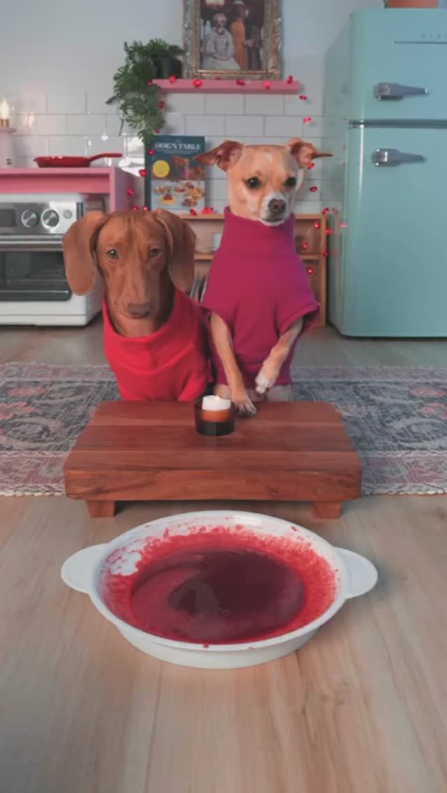 Полезные блинчики для собак