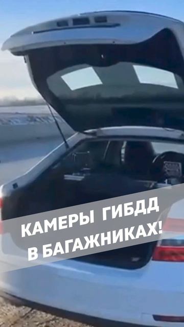 Камеры ГИБДД в багажниках 2026