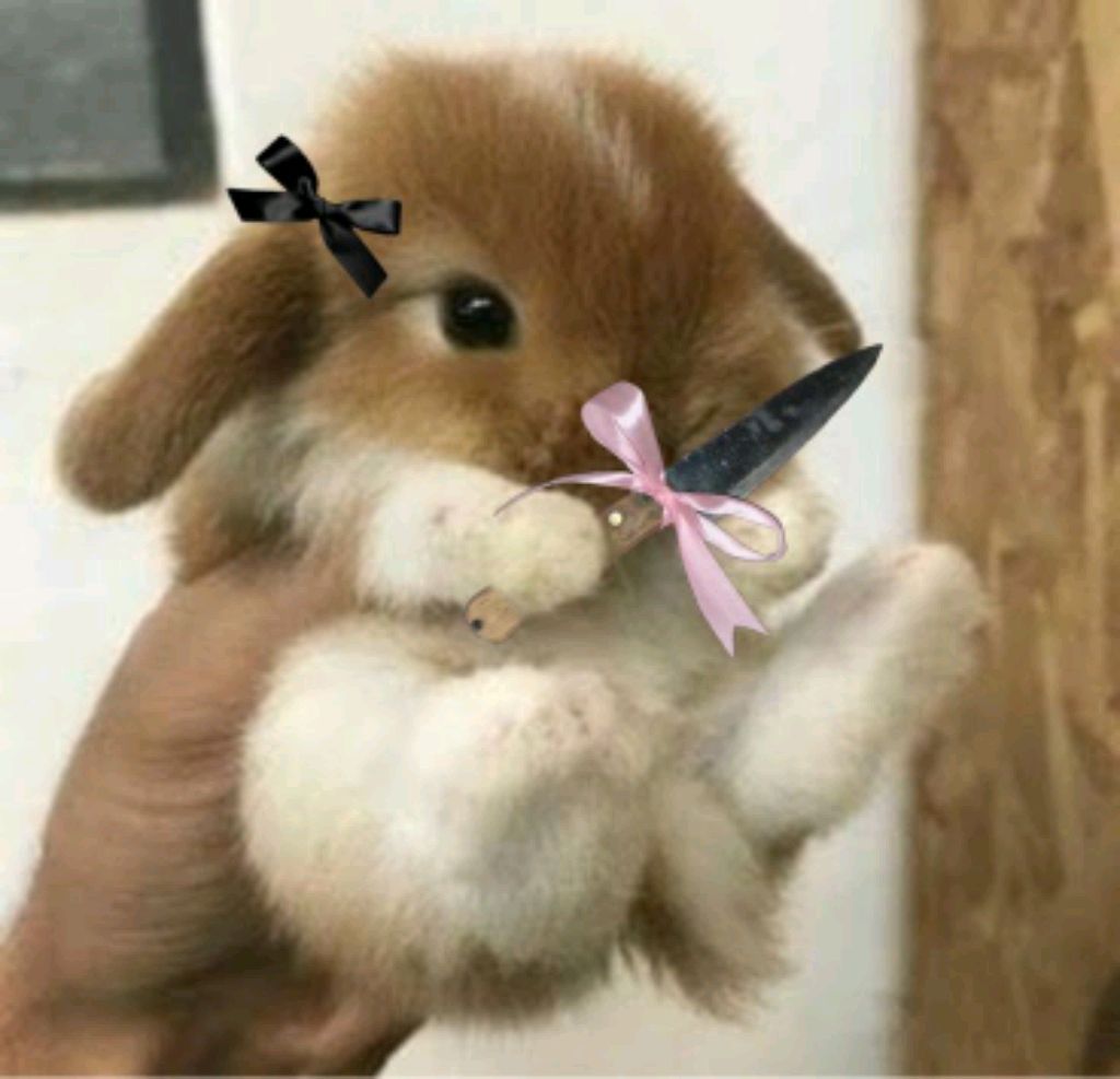 ♥♠ ЧТО ЭТО ЗА КАНФЕТЫ♠♥