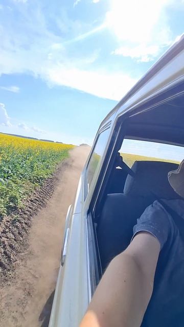 Покатушки в полях