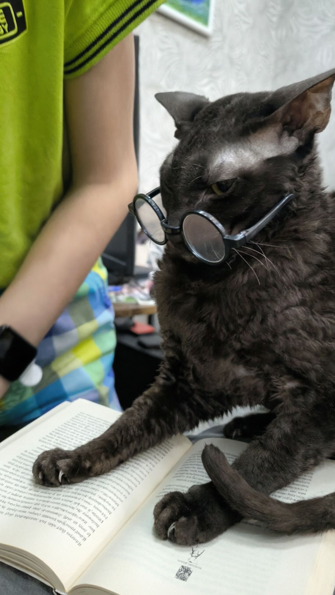 Корниш-рекс читает книгу 📖😺 Умница в очках — кто сказал, что кошки не учёные?