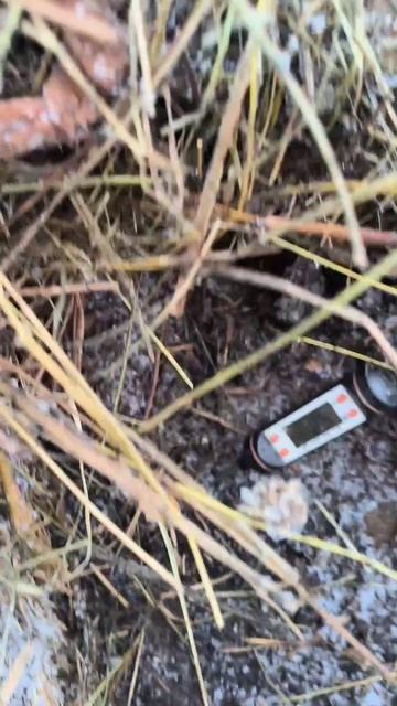 Температура под мульчей