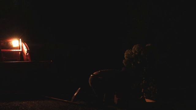 #5 Как сделать приподнятые грядки в английском стиле и превратить старую сосну в красивую клумбу