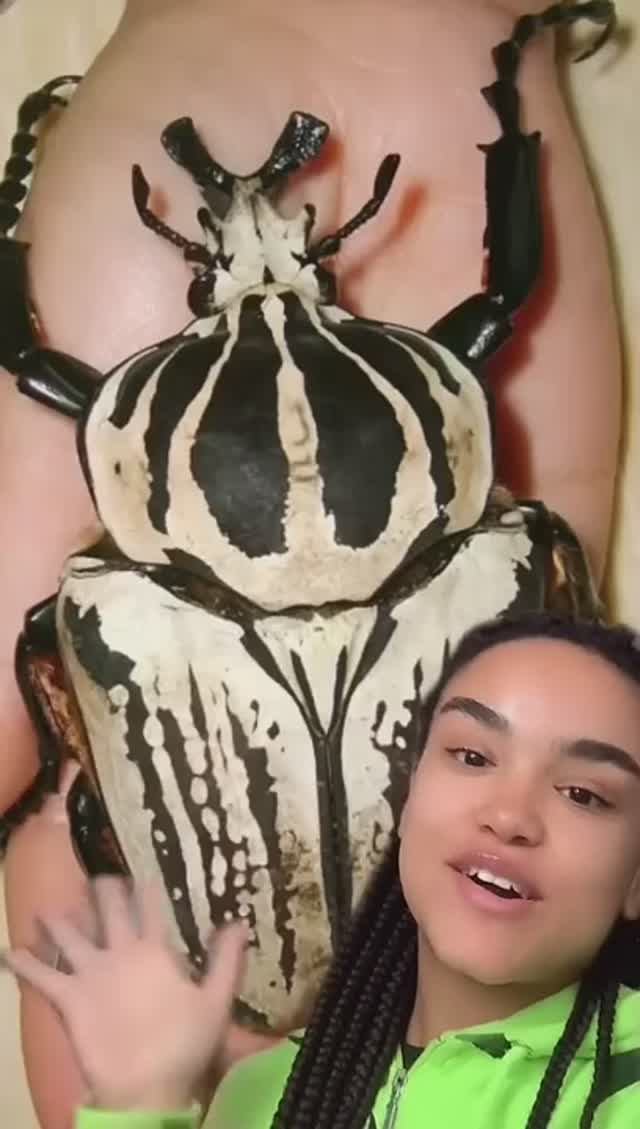 ЖУКИ В ДРЕДАХ!!!😱🪲