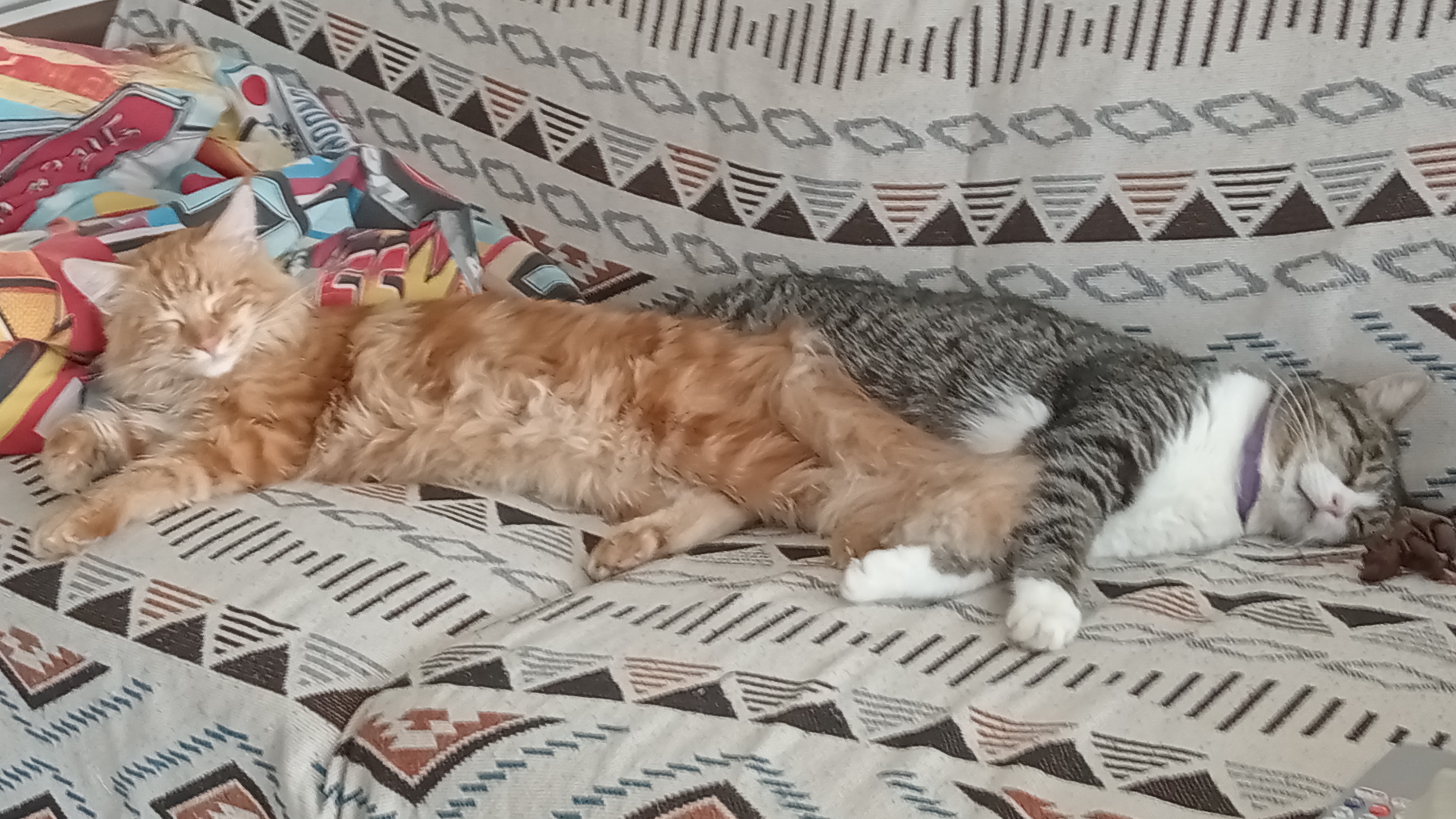 261c8d65cbbb02dc2fb4723edc7c5c43