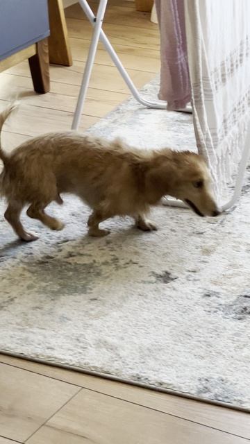 Леонид Таксович натирается после душа