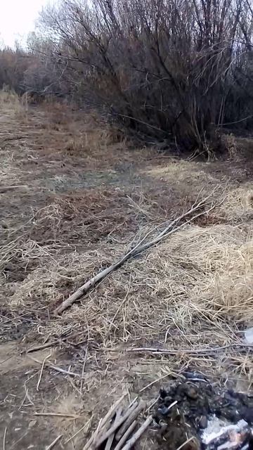 #крбушафт #кино #выживание