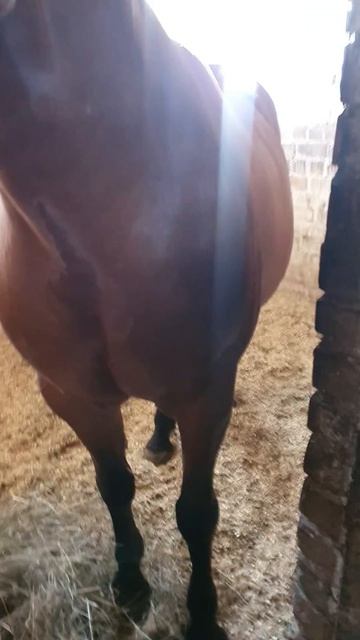 30 июля 2024 г.