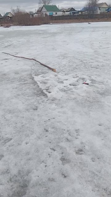 Андрей 75 🇷🇺🇷🇺🇷🇺