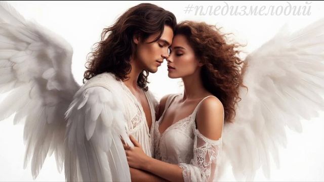 ПТИЦА БЕЗ КРЫЛА 🪽🤍