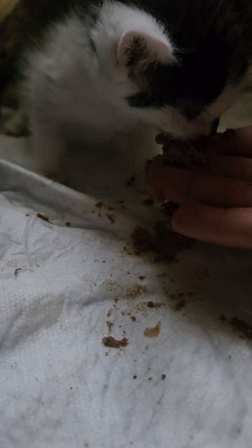 Мистер Пропер, день 2. Учимся вкушать)