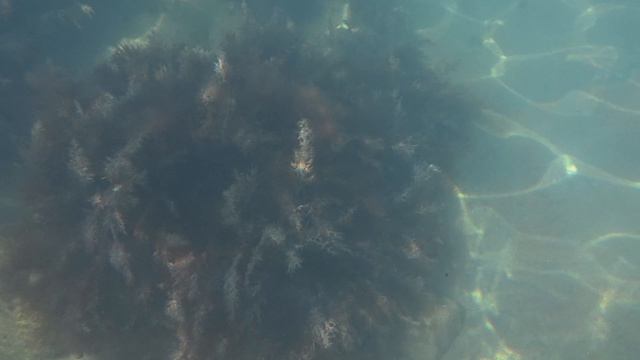 Анапа 17.04.2026 коротко