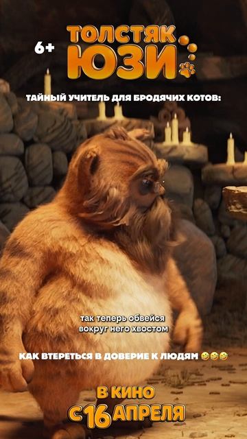 Учитель котов. Толстяк Юзи  Yooz 6+