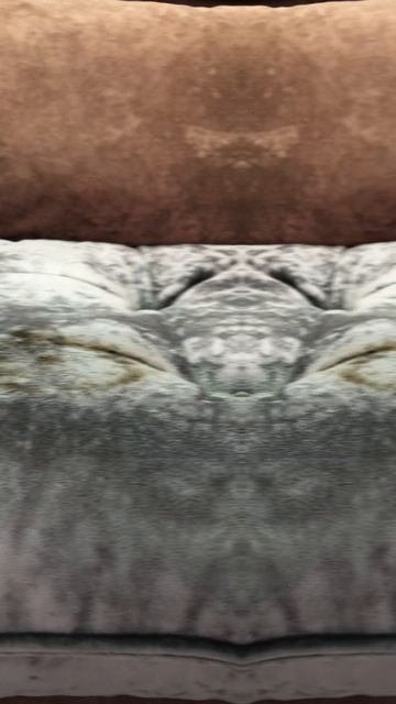 😱 Пролил соевый соус на диван. Уберется ли?