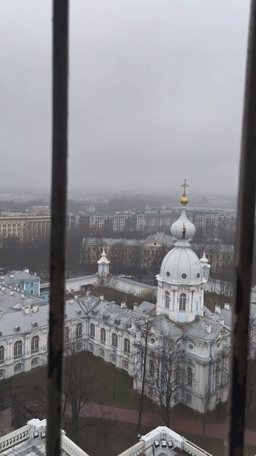 Вид со смотровой площадки Смольного собора на Шпалерную улицу.