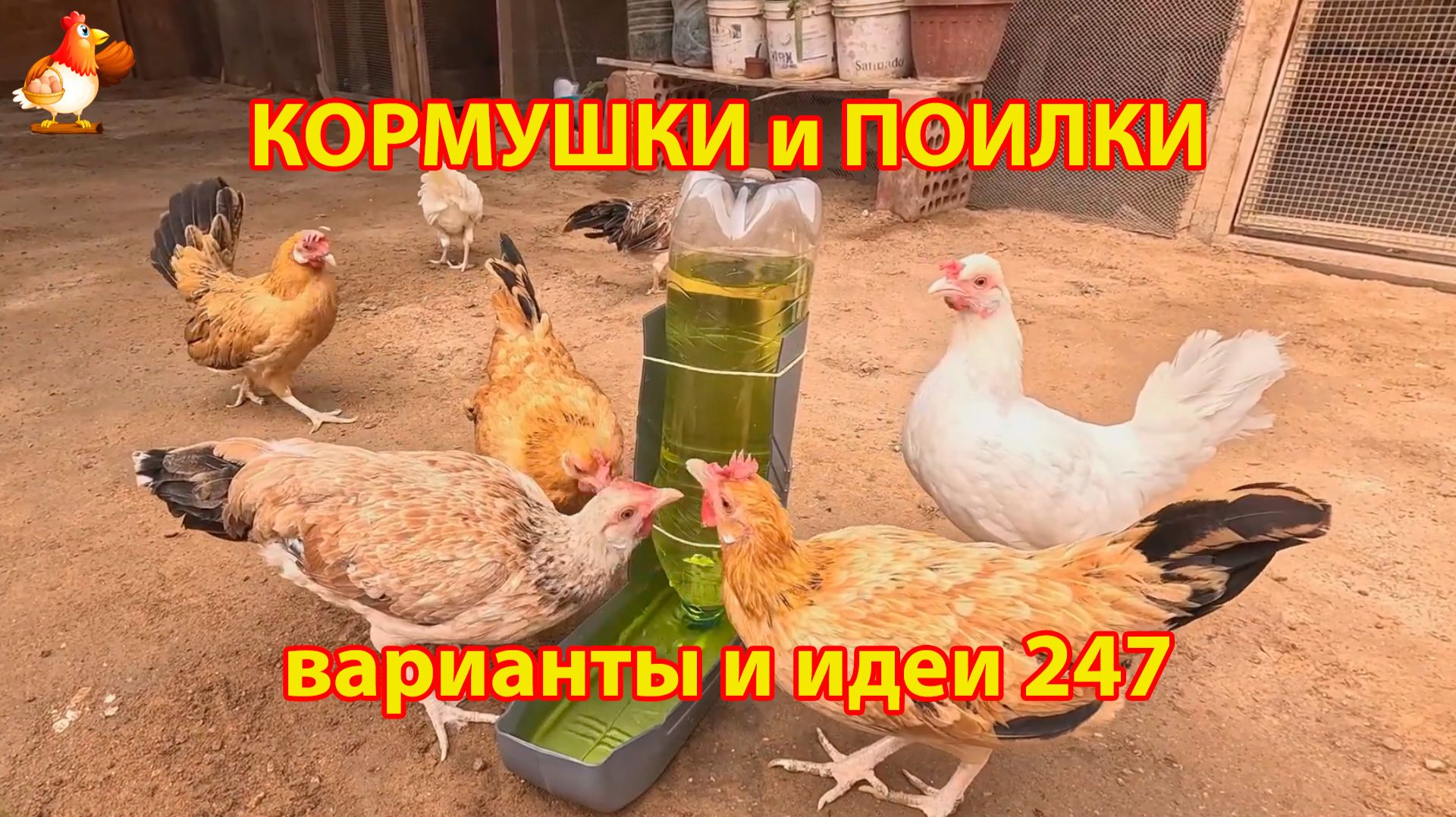 Кормушки и поилки для кур своими руками 247 🪚✂️ Пошаговая инструкция как сделать 🐔 🐓❣️