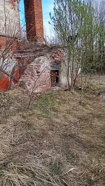 17.04.26. Налла слезла