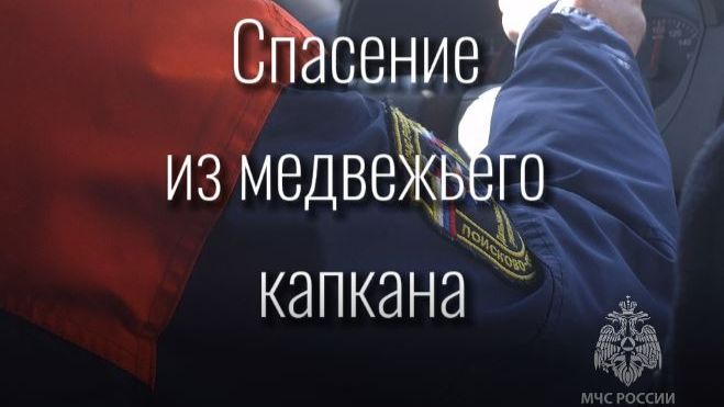 Спасение из медвежьего капкана