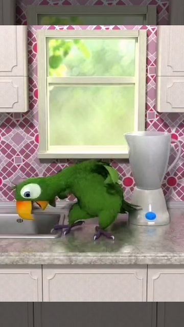 VID-20241014-WA0000.mp4