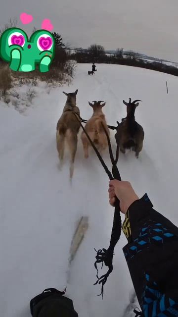 Video_2026-02-21_13-44-35