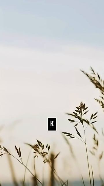 Новый тренд 2026 у зумеров. Что думаешь?