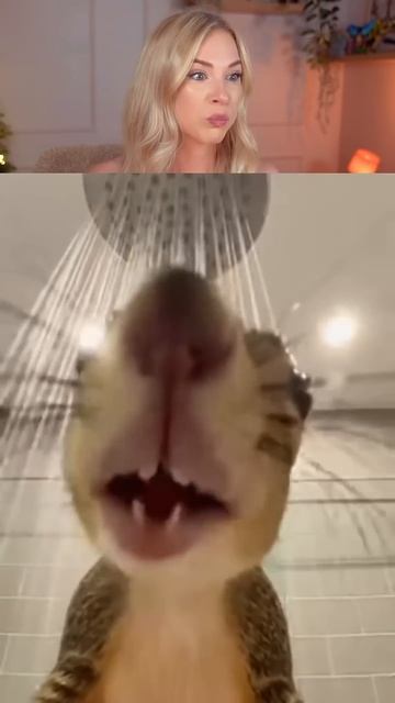 попробуй не засмеяться🤗