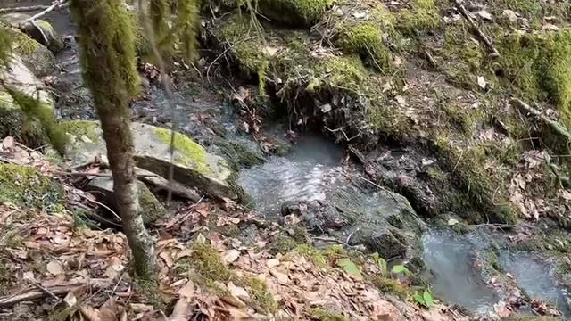 16.03.25г. Поездка в Адыгею.