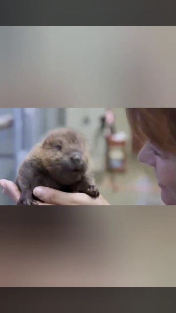 Жизнь прекрасна!