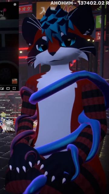 ВЕРНЫЙ КУРС