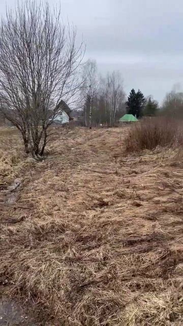 д. Фомино 50:18:0090203:830