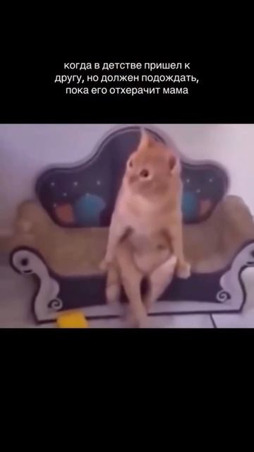 артикул в описании 👇🏻