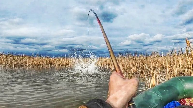 ВОТ ЭТО ЗВЕРЮГА!!!Ловля сазана и карася на поплавок. Рыбалка на поплавок