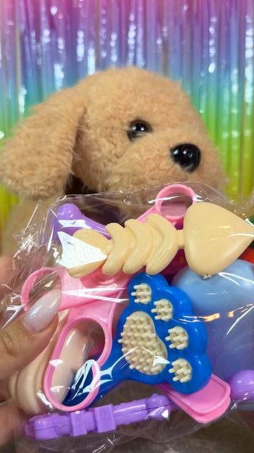 Нашли друга для нашей кошечки😼