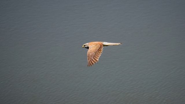 На берегах Енисея. 2019. Часть 1