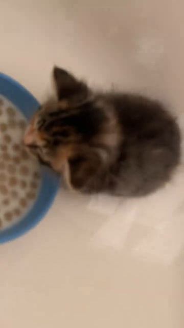 Контакт потерян