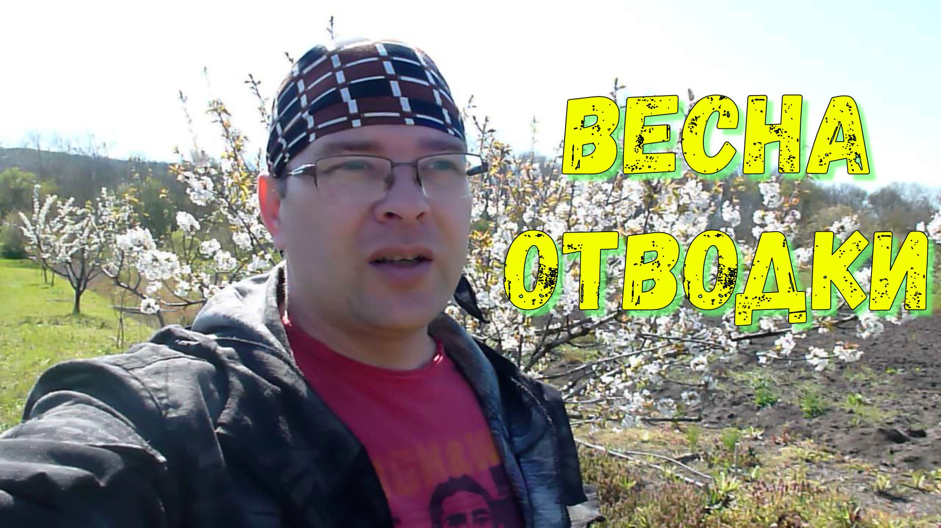 Весение Отводки