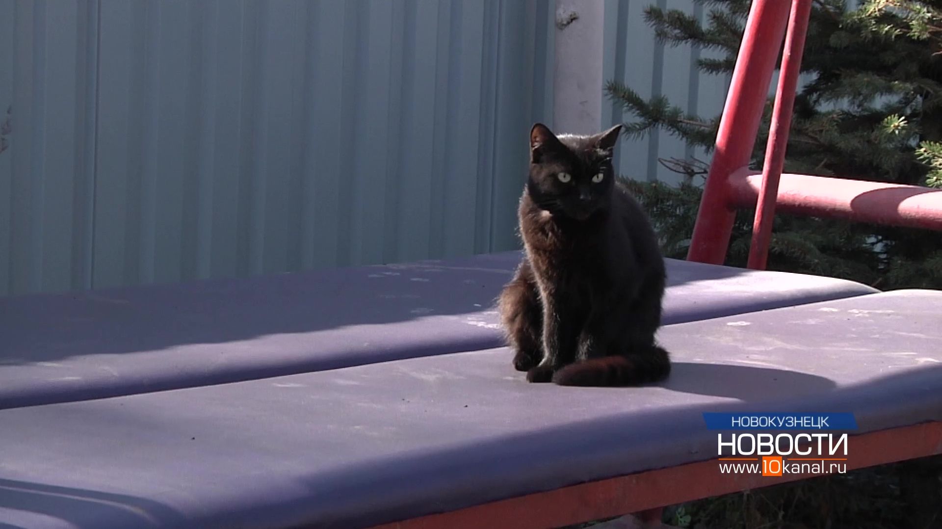 Предупредить, чтобы предотвратить